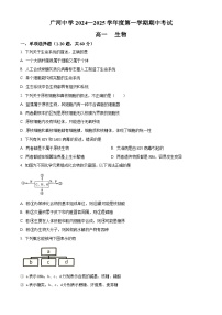 甘肃省临夏回族自治州广河中学2024-2025学年高一上学期期中生物试题