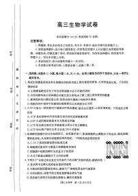 内蒙古自治区赤峰市红山区部分学校联考2024-2025学年高三上学期9月月考生物试题