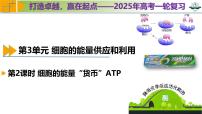 专题3.2 细胞的能量“货币”ATP（课件）-2025年高考生物一轮复习考点归类（新高考通用）