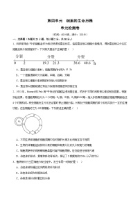 单元检测卷04  细胞的生命历程- 备战2025年高考生物一轮复习考点一遍过（新高考通用）