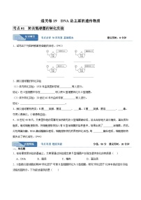 考点19 DNA是主要的遗传物质（讲义）- 备战2025年高考生物一轮复习考点（新高考通用）