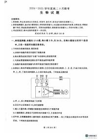 河南部分学校2024-2025学年高二上学期9月月考生物试题