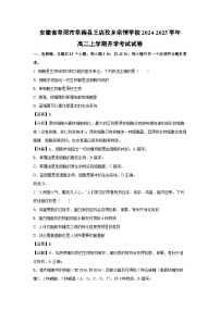 [生物]安徽省阜阳市阜南县王店孜乡亲情学校2024-2025学年高二上学期开学考试试卷(解析版)