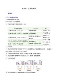 第三章  《基因的本质》同步练习-2024-2025学年高一生物下学期期末复习（人教版2019必修2）