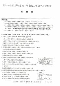 河北省沧州市2024-2025学年高二上学期9月月考生物试题