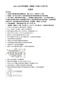 河北省沧州市2024-2025学年高二上学期9月月考生物试题