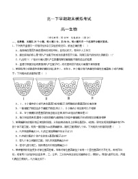 卷01- 高一生物下学期期末通关卷（新课标单选版）