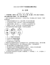 卷03- 2024-2025学年高一生物下学期期末通关卷