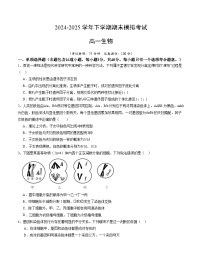 卷05- 2024-2025学年高一生物下学期期末通关卷