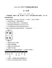 卷08- 2024-2025学年高一生物下学期期末通关卷