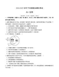 卷10- 2024-2025学年高一生物下学期期末通关卷