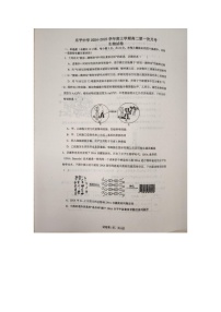 江西省景德镇市乐平市乐平中学2024-2025学年高二上学期9月月考生物试题