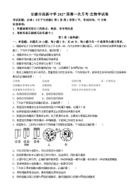 陕西省安康市高新中学2024-2025学年高一上学期9月第一次月考生物试题(无答案)