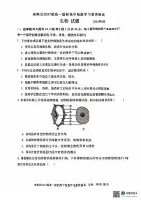 广东省佛山市南海区2024-2025学年高一上学期9月初高中衔接测试生物试题