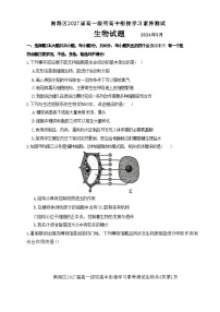 广东省佛山市南海区2024-2025学年高一上学期9月初高中衔接测试生物试题