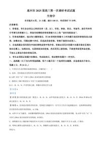 广东省惠州市2025届高三第一次调研考试暨惠州高二期末考试+生物试卷（含答案）