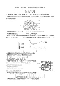 山东省济宁市实验高中2024-2025学年高二上学期9月月考生物试题