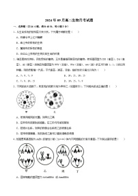 湖南省岳阳市岳阳县第一中学2024-2025学年高三上学期9月月考生物试题