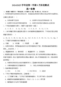 江苏省高邮市临泽中学2024-2025学年高一上学期9月阶段测试（1）生物试卷