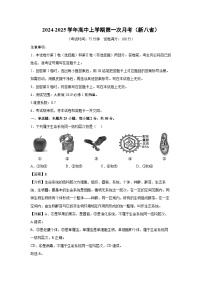 【生物】2024-2025学年高三上学期第一次月考（新八省）（解析版）