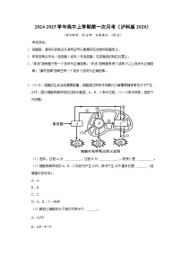 【生物】2024-2025学年高三上学期第一次月考（沪科版2020）（解析版）