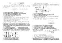 湖南省常德市第一中学2024-2025学年高三上学期第一次月考生物试题（有答案）