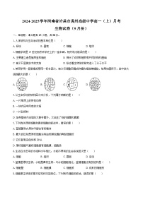 2024-2025学年河南省许昌市禹州高级中学高一（上）月考生物学试卷（9月份）（含解析）