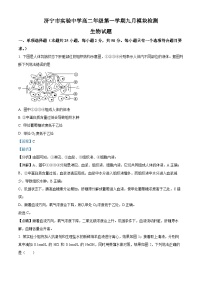 山东省济宁市实验中学2024-2025学年高二上学期9月月考生物试题（Word版附解析）