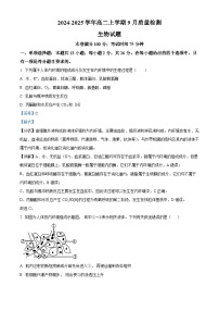 河北省沧州市第二中学2024-2025学年高二上学期9月月考生物试题（Word版附解析）