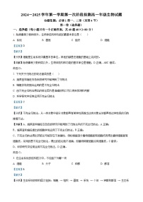 陕西省西安市远东第二中学2024-2025学年高一上学期9月第一次阶段检测生物试题（解析版）