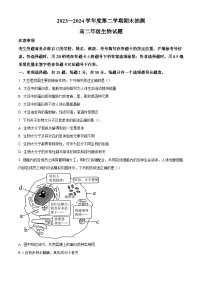 江苏省徐州市2025届2023-2024学年高二下学期期末抽测考试+生物试卷（含答案）