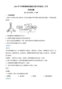 湖南省涟源市部分学校2024—2025学年高二上学期9月考试生物试题（解析版）