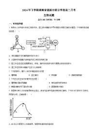 湖南省涟源市部分学校2024—2025学年高二上学期9月考试生物试题（原卷版）
