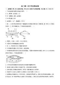 云南省宣威市长征中学2024-2025学年高二上学期9月第一次月考生物试题（原卷版+解析版）