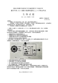 重庆市西南大学附属中学、重庆育才中学等学校2024-2025高三上学期10月联考生物试题