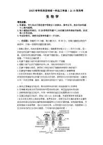 河南省焦作市博爱县第一中学2024-2025学年高三上学期9月月考生物试题