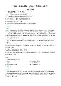 云南省昭通市镇雄县第一高级中学2024-2025年高二上学期第一次月考生物试题（解析版）