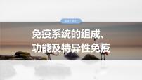 2025届高三一轮复习生物：免疫系统的组成、功能及特异性免疫课件