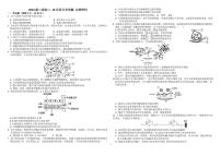 山东省淄博市高青县第一中学2024-2025学年高二上学期10月份月考生物试题