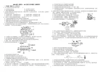山东省淄博市高青县第一中学2024-2025学年高二上学期10月份月考生物试题