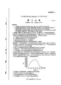 山东省新高考联合体2024—2025学年高三上学期质量测评10月联考生物试题