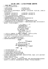 山东省淄博市高青县第一中学2024-2025学年高二上学期10月月考生物试题