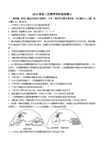 江苏省盐城市射阳县江苏省射阳中学2024-2025学年高三上学期10月月考生物试题