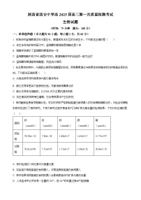 陕西省西安中学2024-2025学年高三上学期10月月考（第一次质量检测考试）生物