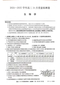 山西省部分学校2024-2025学年高二上学期10月月考生物试题