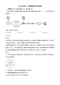 湖南省岳阳市临湘市2024-2025学年高二上学期9月月考生物试题（Word版附解析）