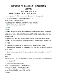 陕西省西安中学2024-2025学年高三上学期10月月考生物试题（Word版附解析）