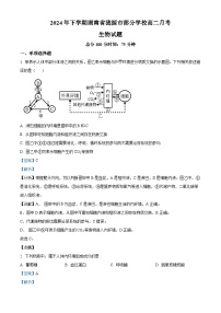 湖南省娄底市涟源市部分学校2024-2025学年高二上学期9月联考生物试题（Word版附解析）