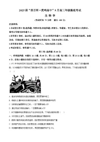 广西壮族自治区河池市八校协作体2025届高三一模考试生物试题（原卷及解析版）