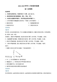 河南省郑州市2024-2025学年高二上学期9月月考生物试题 word版含解析